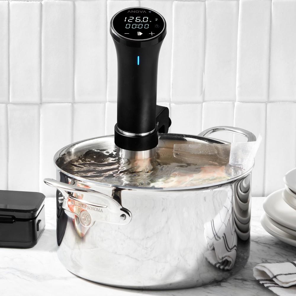 Anova Precision® Cooker 3.0 with Wi-Fi | Williams Sonoma AU